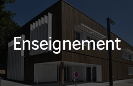 Enseignement